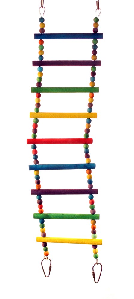 Flexible colour ladder large