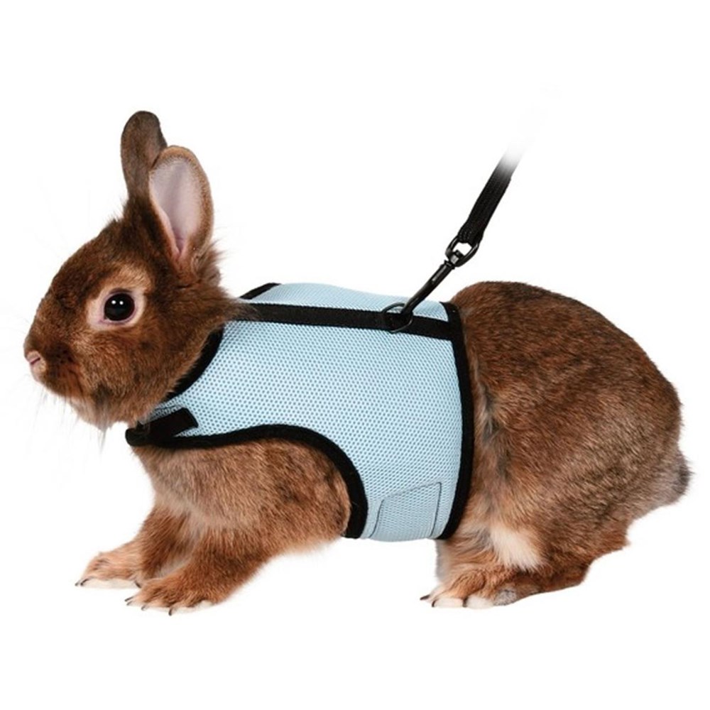 Harness 'n' lead for rabbits