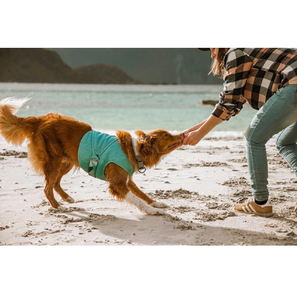 Cooling and Calming Dog Coats
