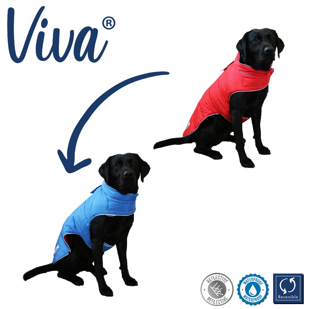 Viva Reversible Coat Red/Blue - X-Small (25cm)