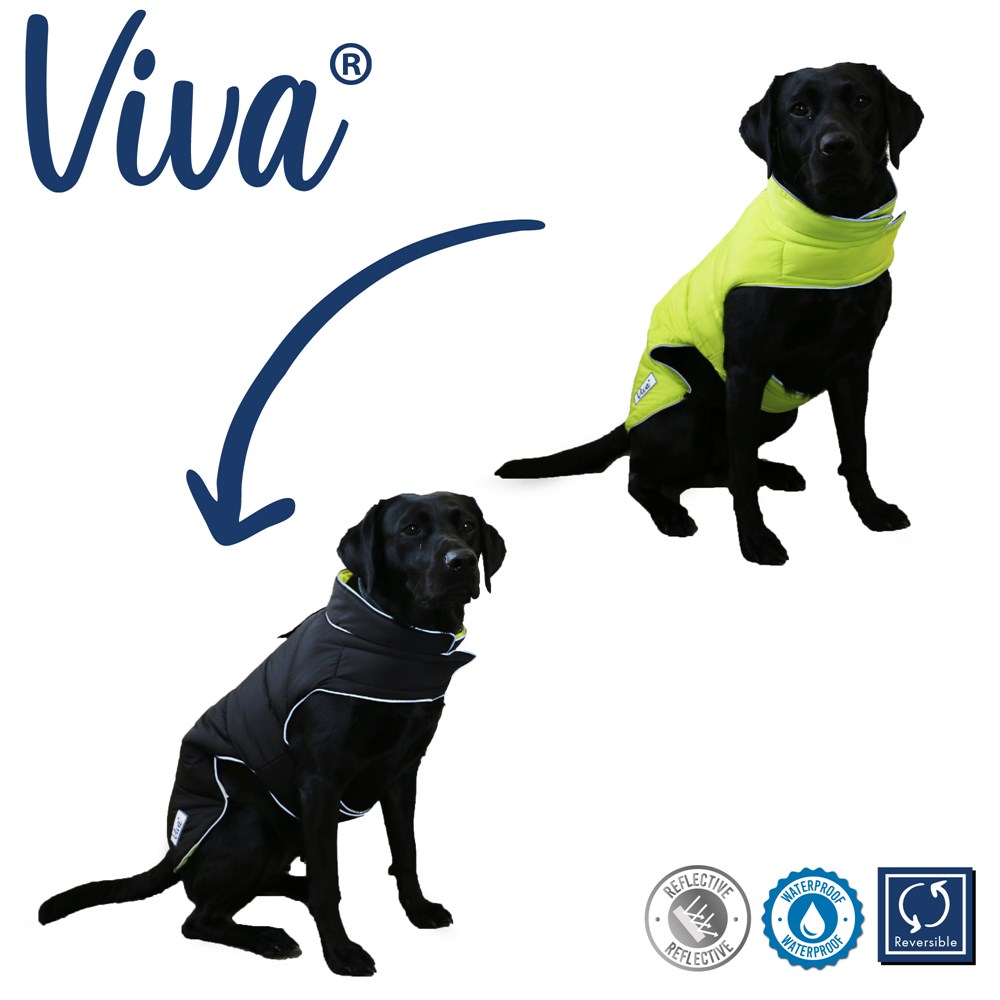 Viva Reversible Coat Black/Hi-Vis - X-Small (25cm)