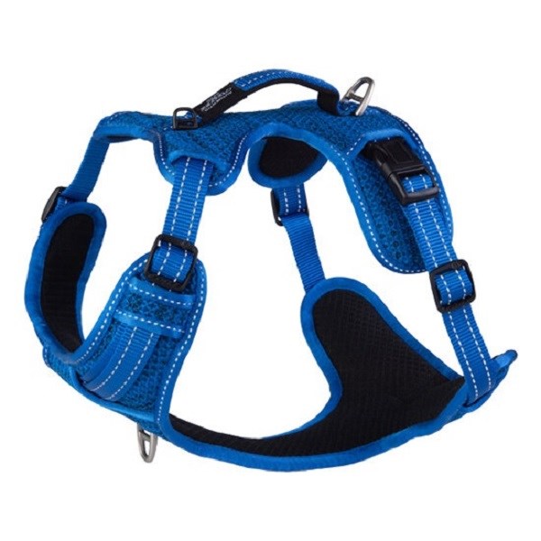 Rogz Explore Harness Blue - X-Large