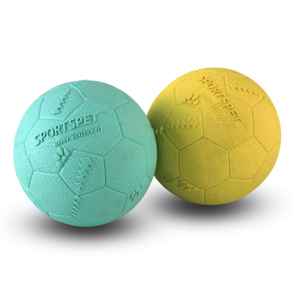 Football Bounce Ball 2 Pack
