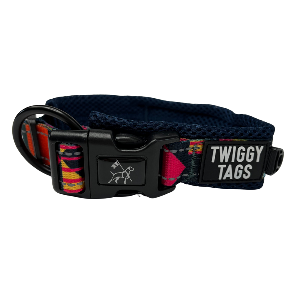 Twiggy Tags Aurora Adventure Collar Size 1