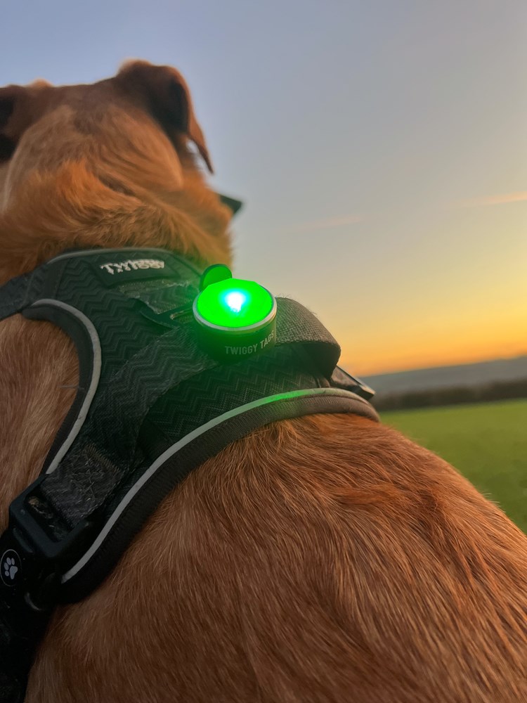 Twiggy Tags Trekbright Dog Safety Light