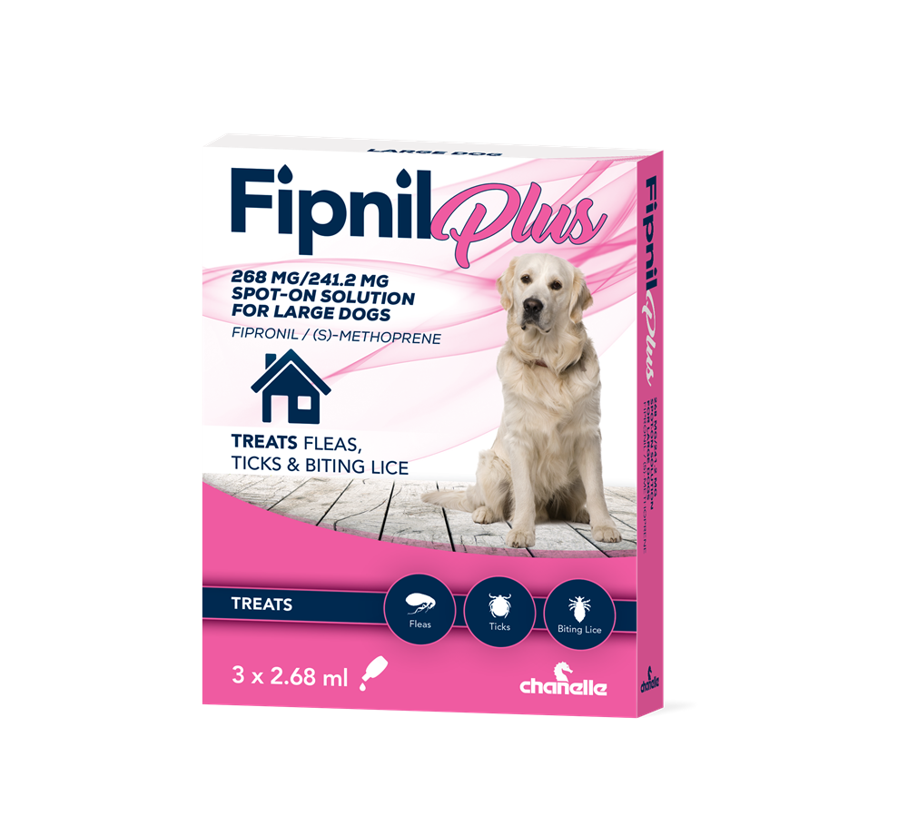 Fipnil Plus Large Dog Spot-On x 1