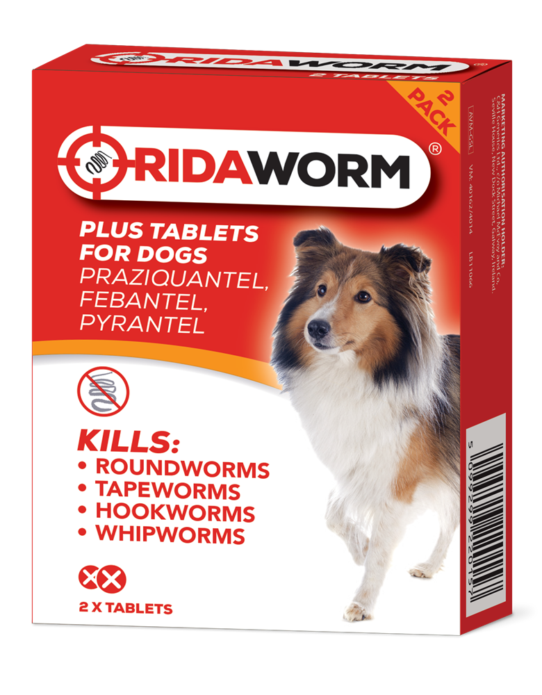Ridaworm Tablets For Dogs x 2