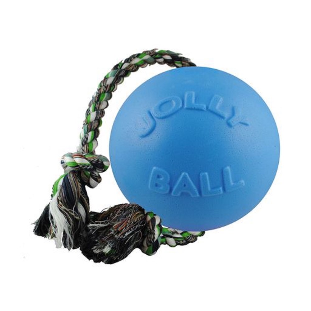 Jolly Pets Romp n Roll 4.5" Blueberry