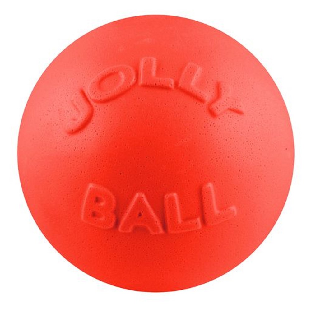 Jolly Pets 8" Bounce n Play Orange