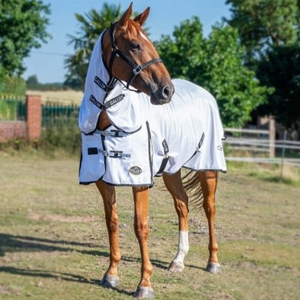 Gallop Classic Fly Combo Rug 6'9"
