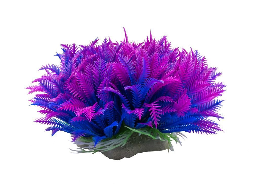 Aqua Spectra Myriophyllum Plant Purple 14cm