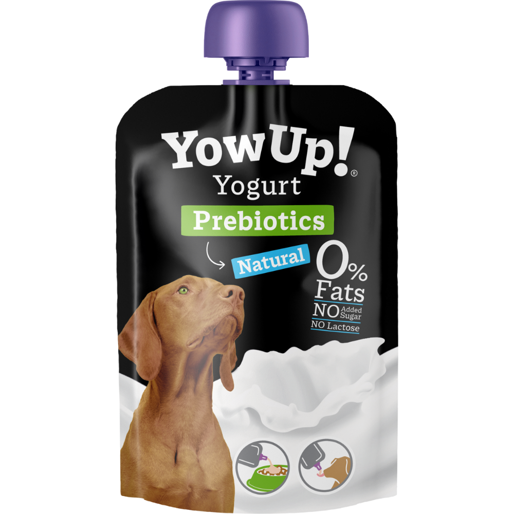 Is natural yoghurt good for dogs best sale