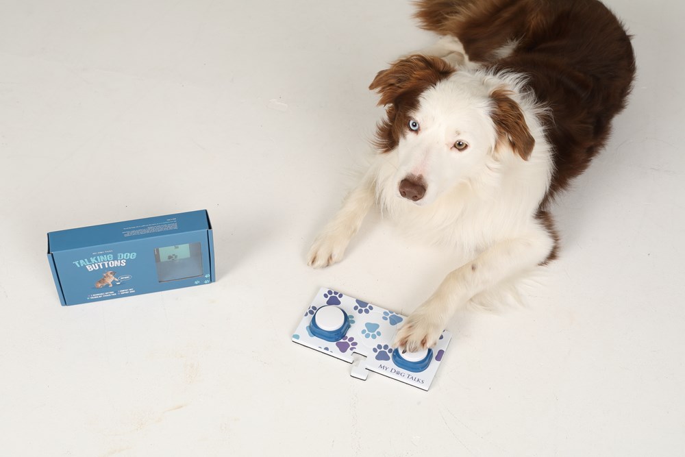 My Dog Talks 2 pack - 2 buttons, 6 stickers and rectangle mat & training guide