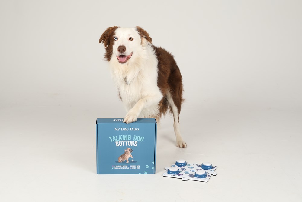 My Dog Talks 4 pack (4 buttons, 12 stickers and square mat & training guide)