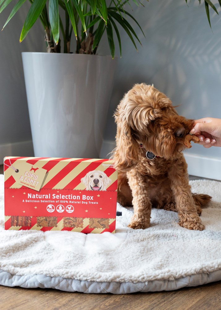 Rw Natural Selection Box for Dogs, 175g