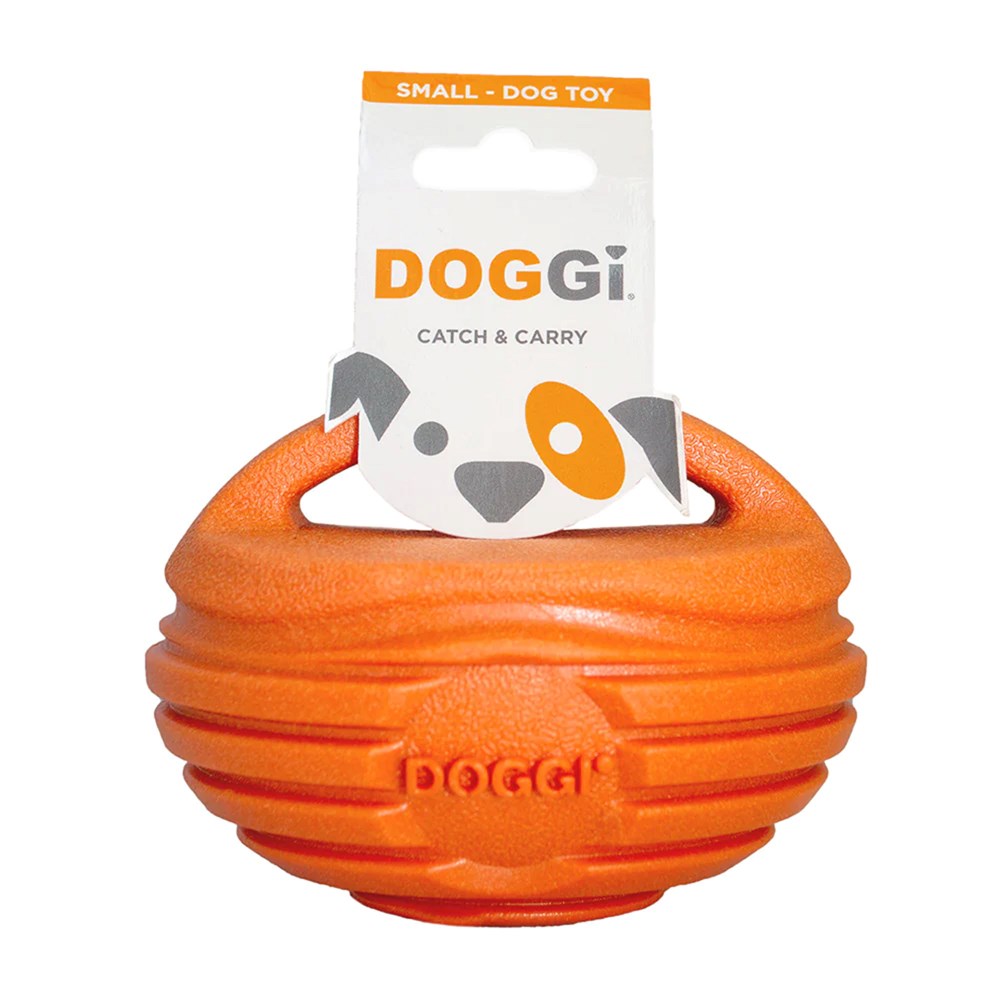 Doggi Catch & Carry Small Rugby Ball