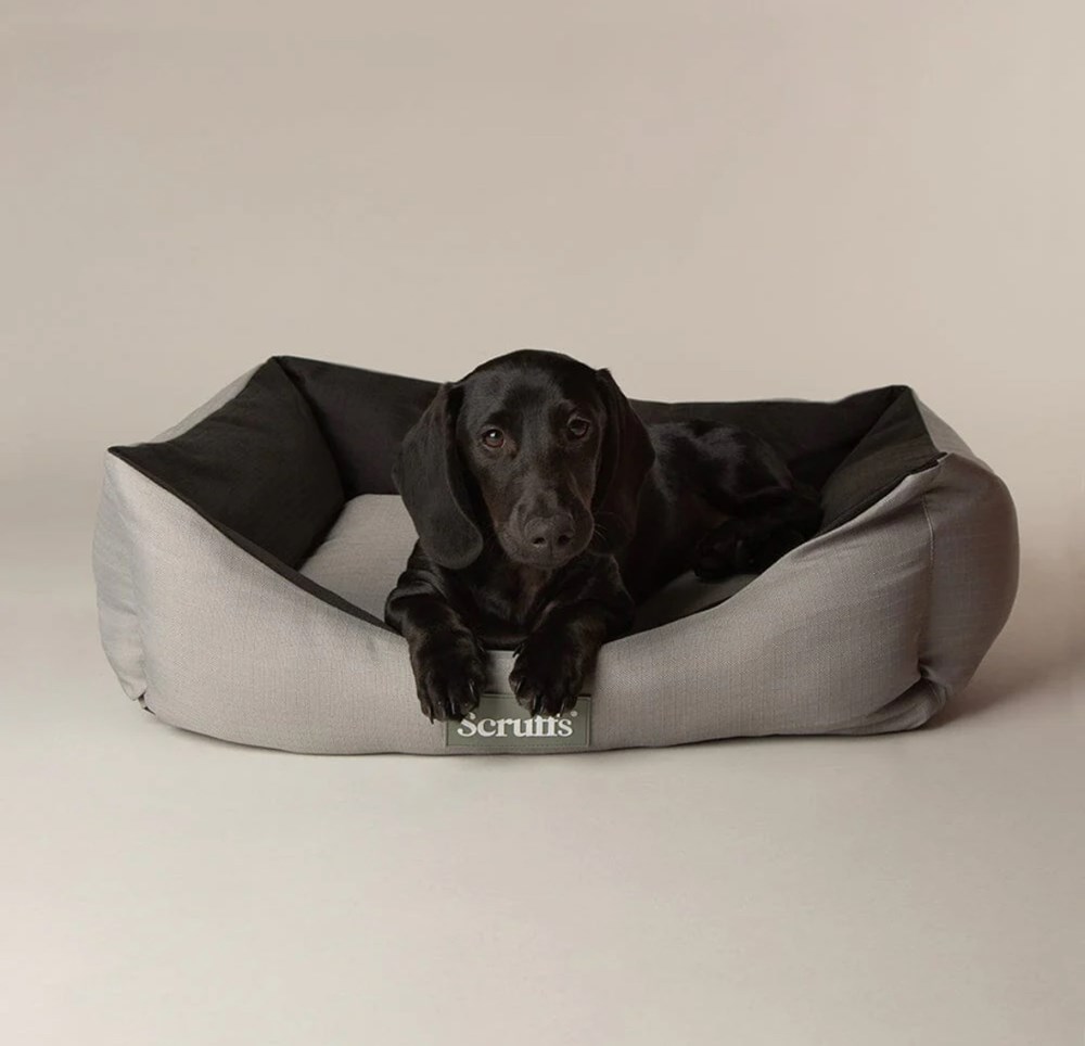 SCRUFFS EXPEDITION BOX BED STORM GREY M