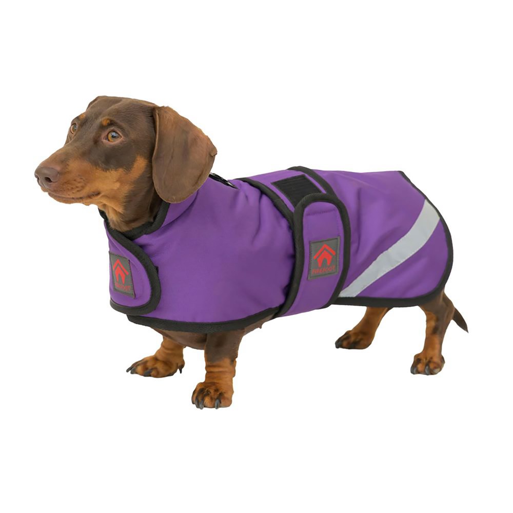 Firefoot Outdoor Dachshund Coat with Fleecy Lining Purple - 30 Cm