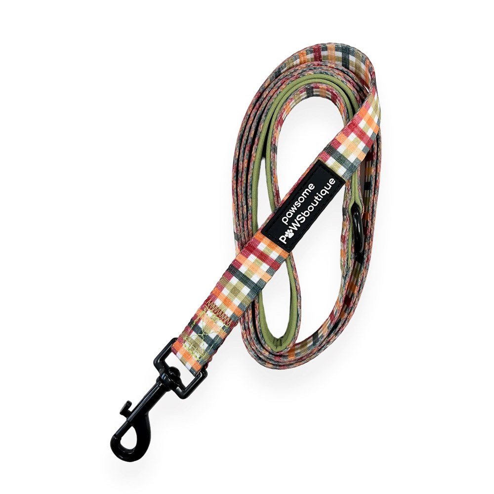 Pawsome Paws Plaid Pup Fabric 5ft Lead