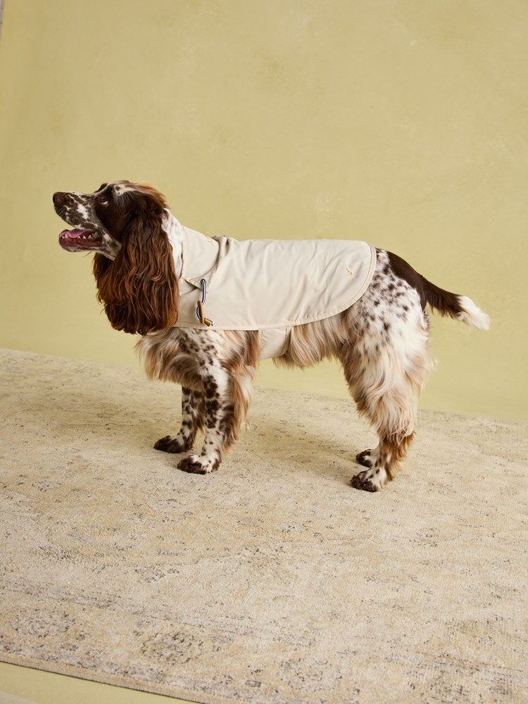 Yellow Raincoat Joules Dogs Raincoat Joules Golightly Printed