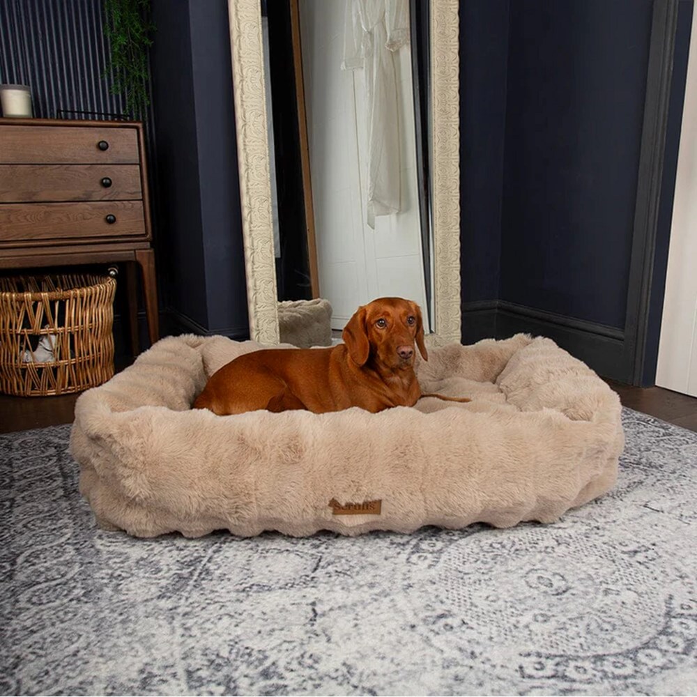 Scruffs Alpine Box Bed Champagne Extra Large