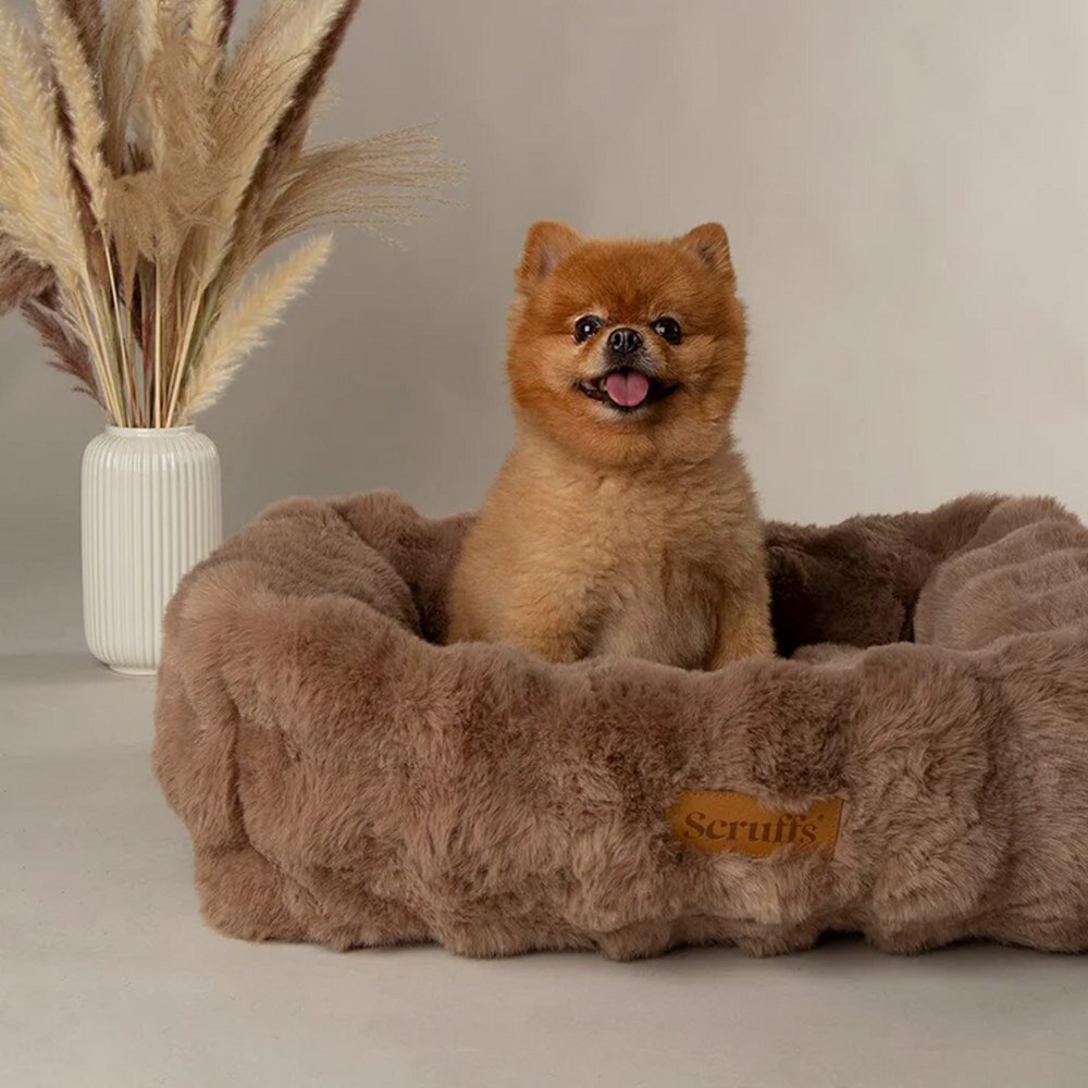 Scruffs Alpine Box Bed Taupe Medium