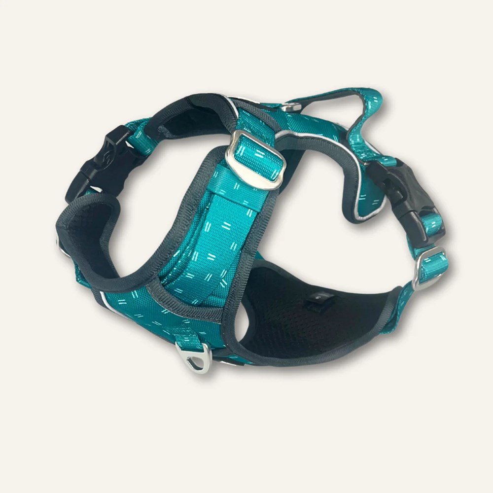 Twiggy Tags  Adventure Harness Tranquil Size 1