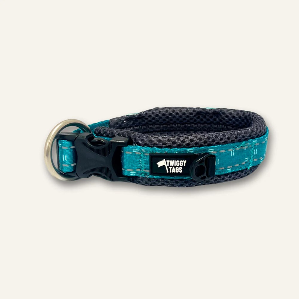 Twiggy Tags  Adventure Collar Tranquil Size 2