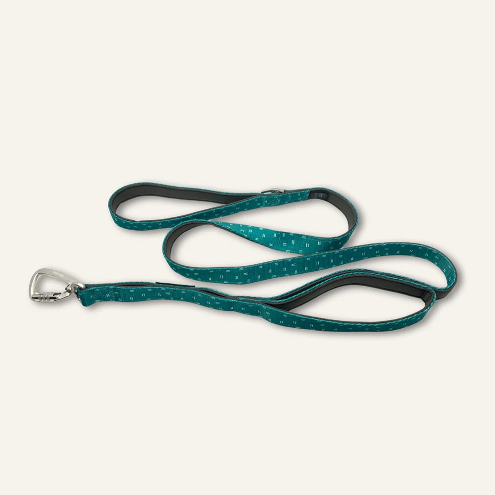 Twiggy Tags Adventure Lead Close Control Tranquil