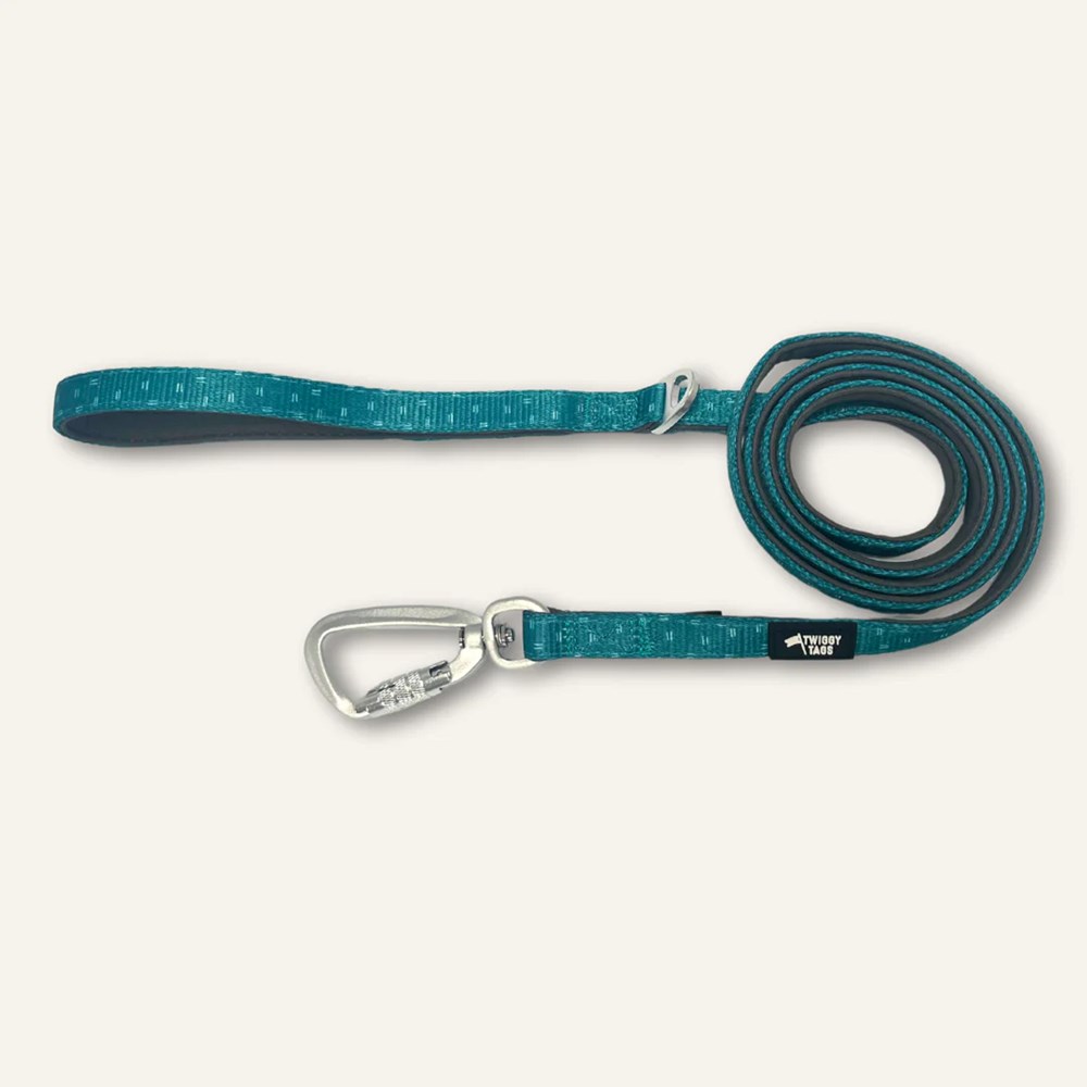 Twiggy Tags Adventure Lead Small Tranquil