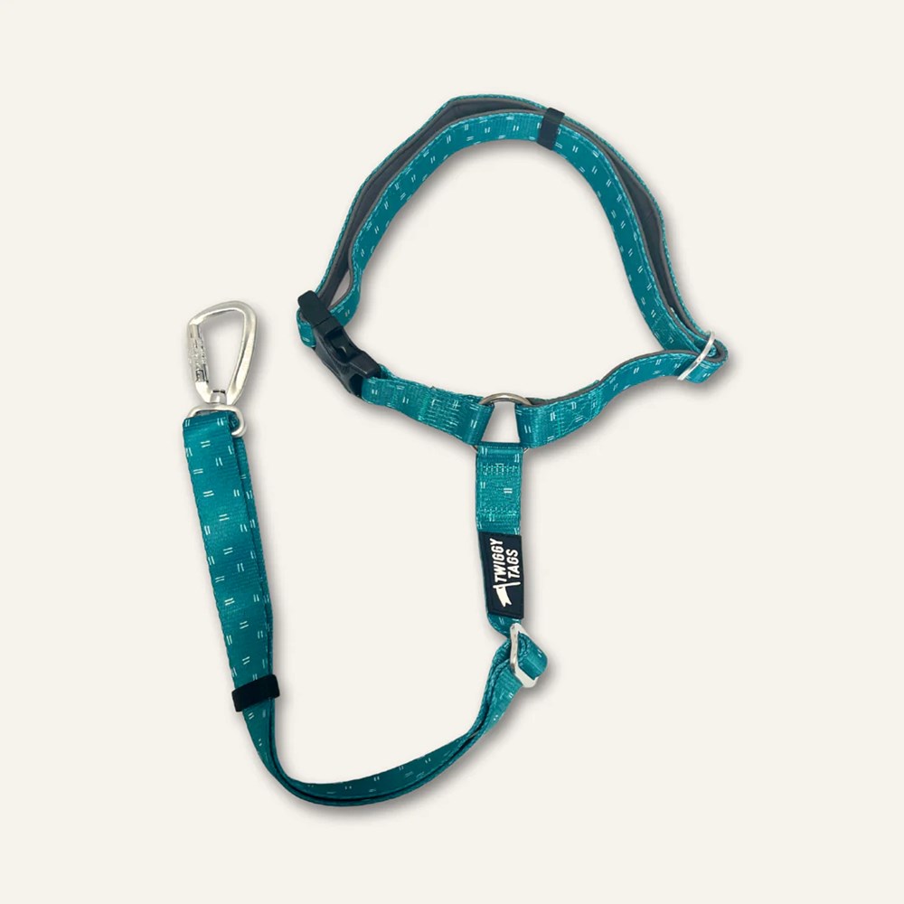 Twiggy Tags Adventure Dog Safety Seatbelt Tranquil
