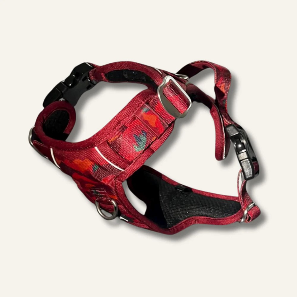 Twiggy Tags Adventure Harness Alpenglow Size 1