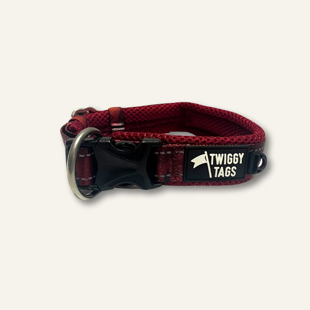 Twiggy Tags Adventure Collar Alpenglow Size 1