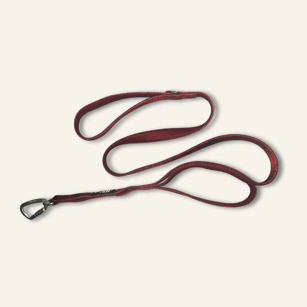 Twiggy Tags Adventure Lead Close Control Alpenglow