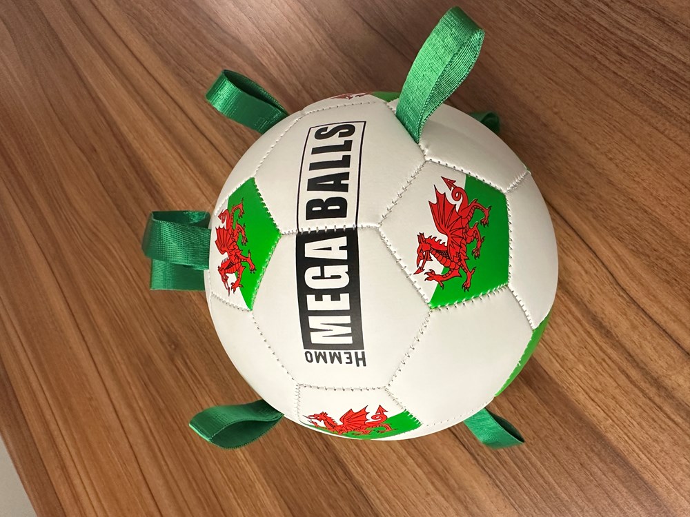 Hemmo Welsh Pick Me Up Football