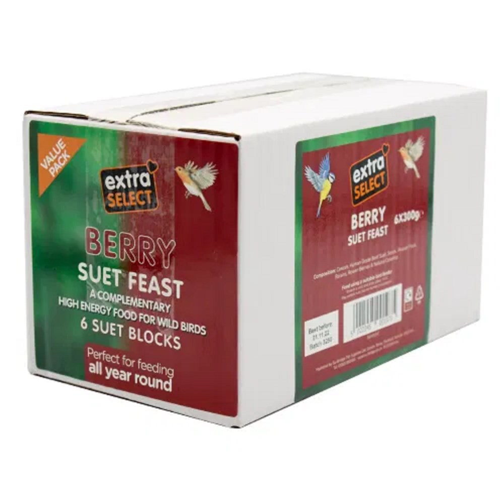 Extra Select Berry Suet Blocks 10 x 300g