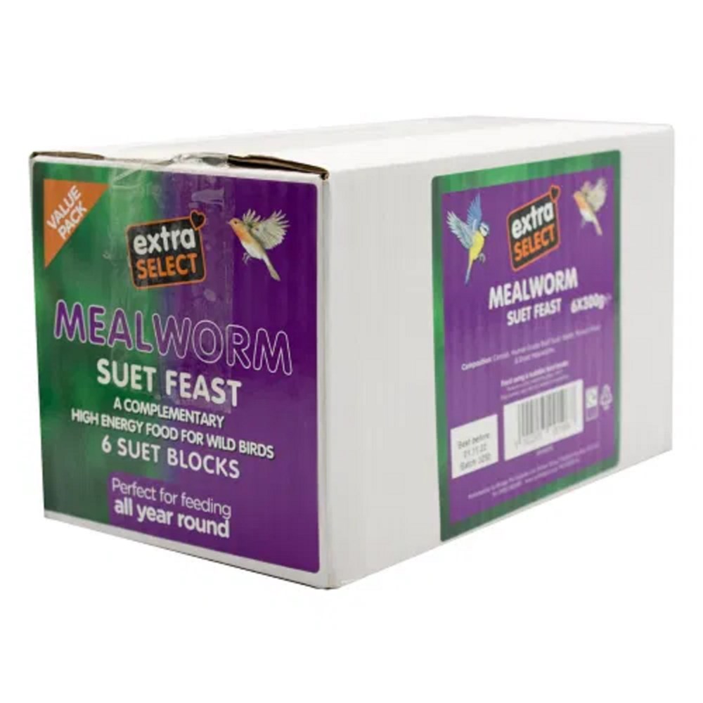 Extra Select Mealworm Suet Blocks 10 x 300g