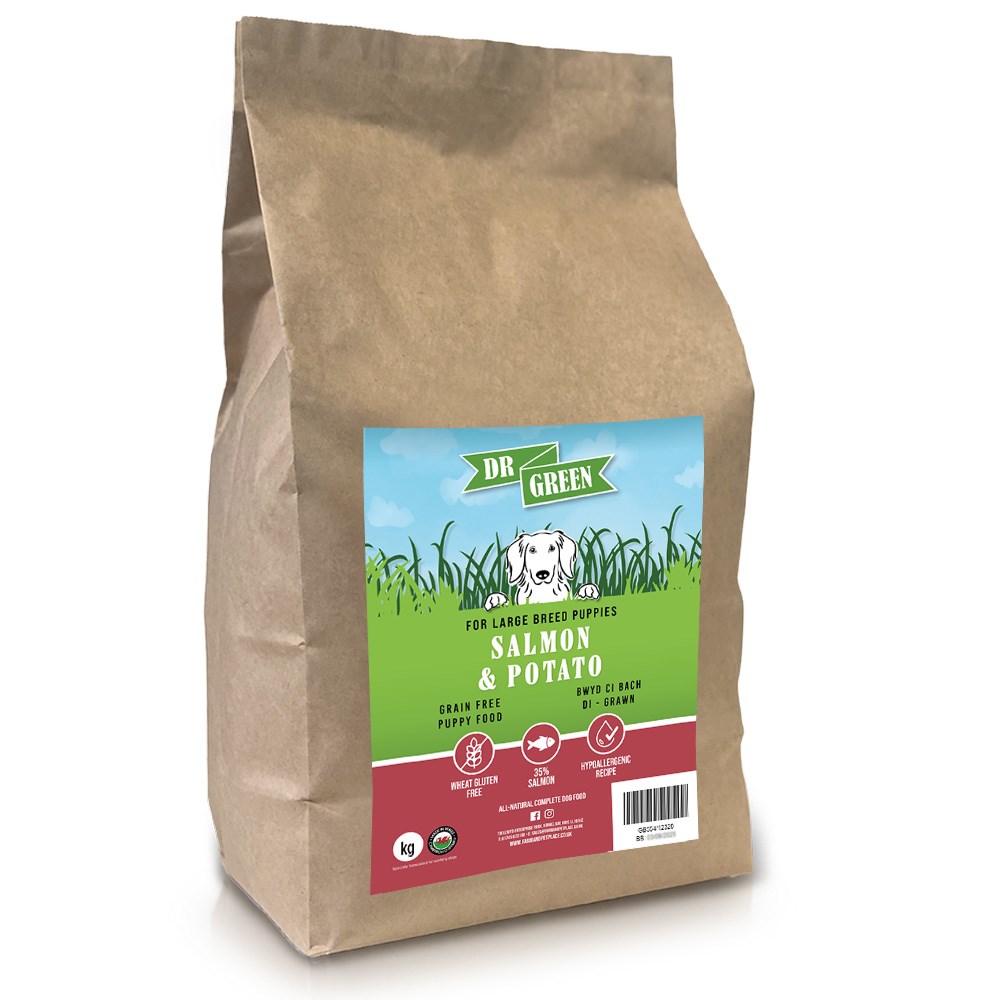 Dr Green Wheat & Gluten Free Salmon and Potato Puppy Large Breed Dog Food 2kg