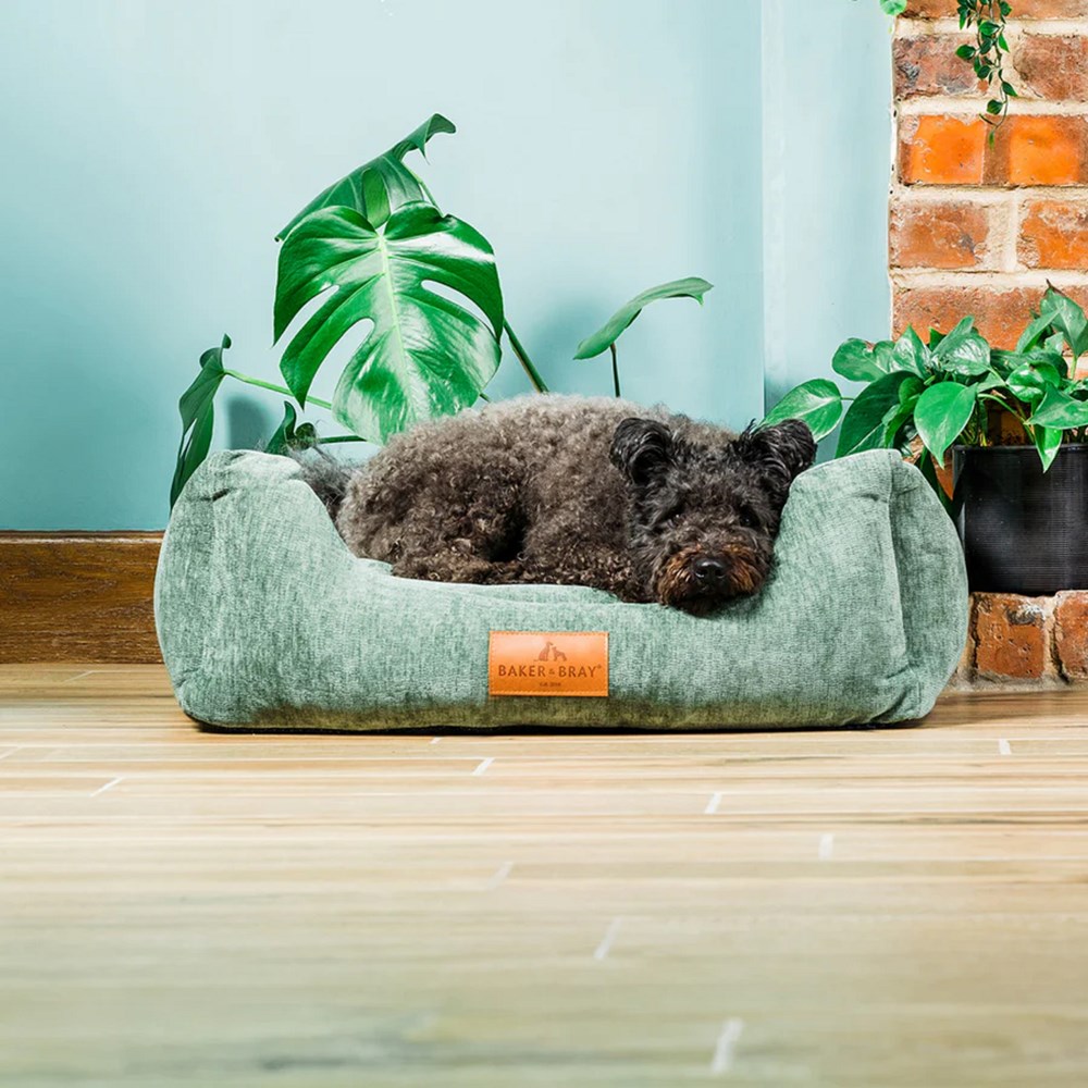 Baker & Bray Ultimate Eco Luxe Small/Medium Dog Bed Sage