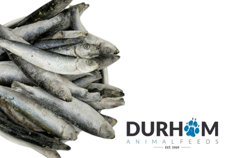 Durham Sprats Frozen 1kg