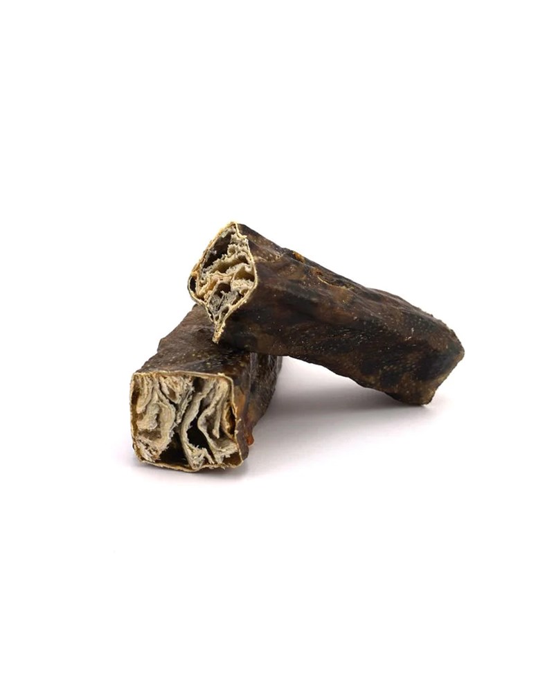 Wolf Fish Throw Sticks Short Single