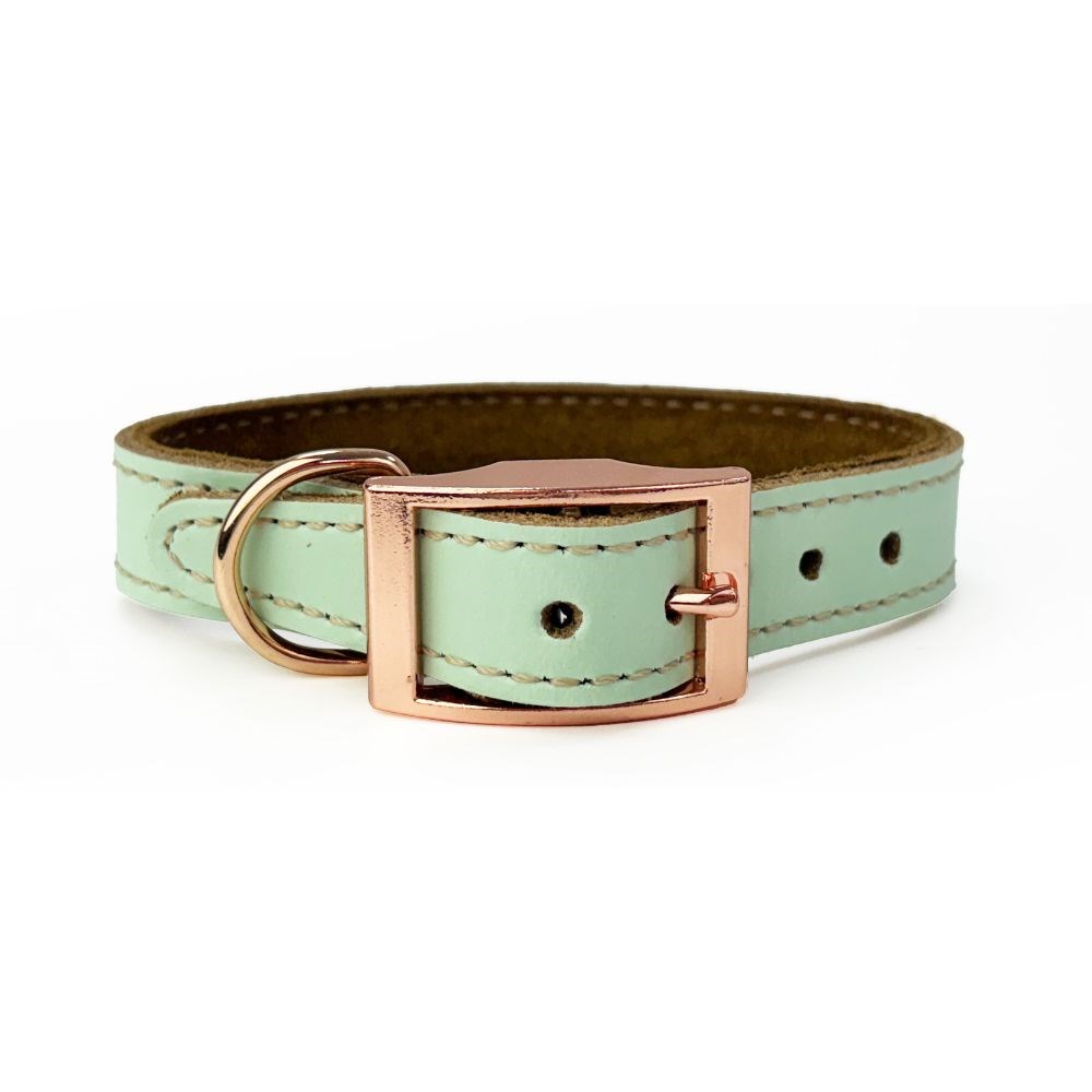 Skye & Murphy Padded Leather Collar Pistachio X Small