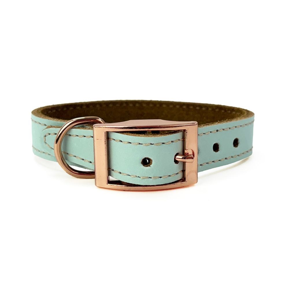 Skye & Murphy Padded Leather Collar Ocean X Small