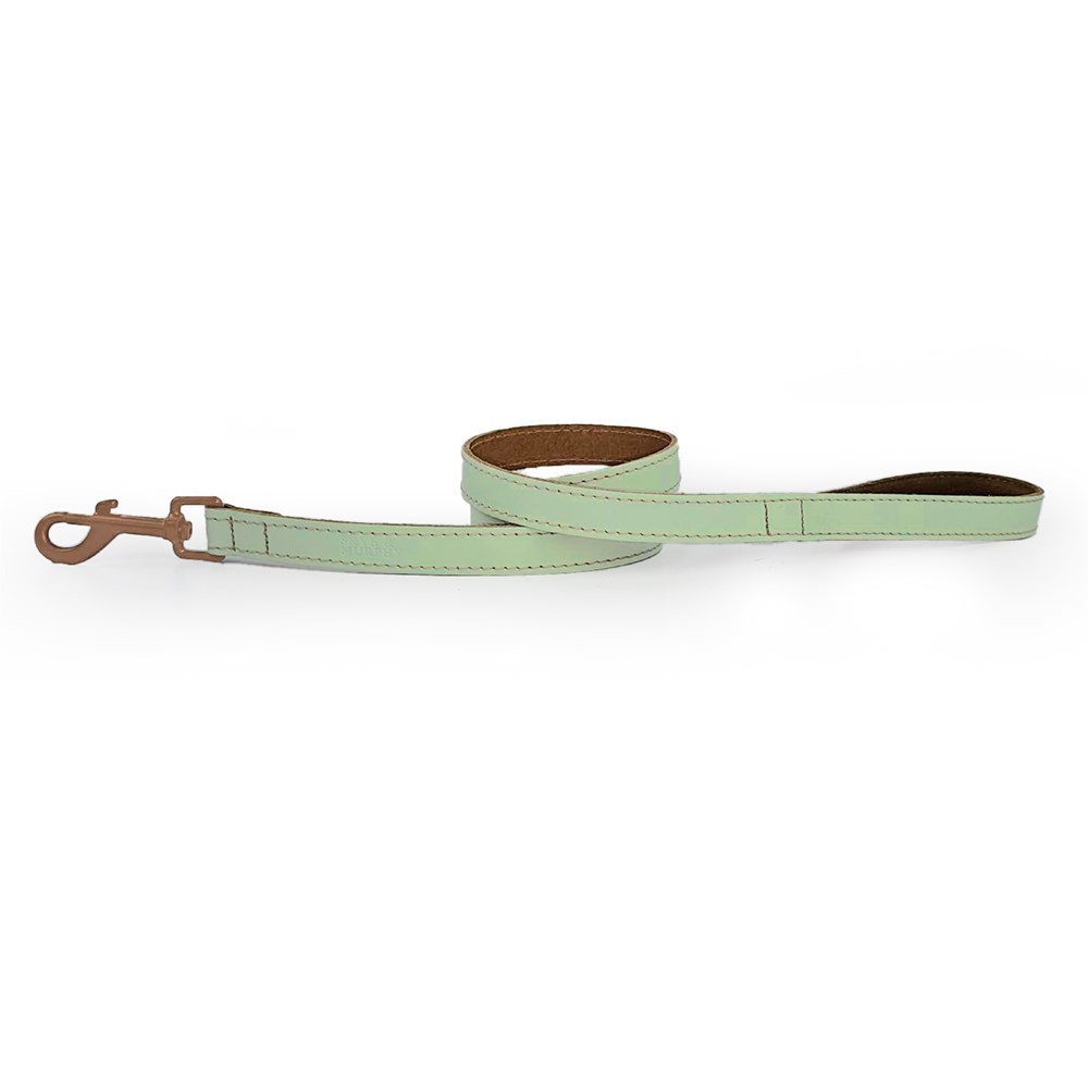 Skye & Murphy Padded Leather Lead Pistachio 100 x 1.9cm