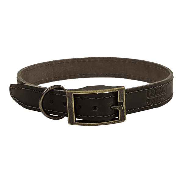 Legacy Leather Dog Collar Chocolate X Small