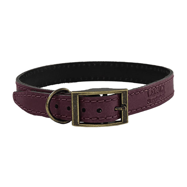 Legacy Leather Dog Collar Merlot X Small