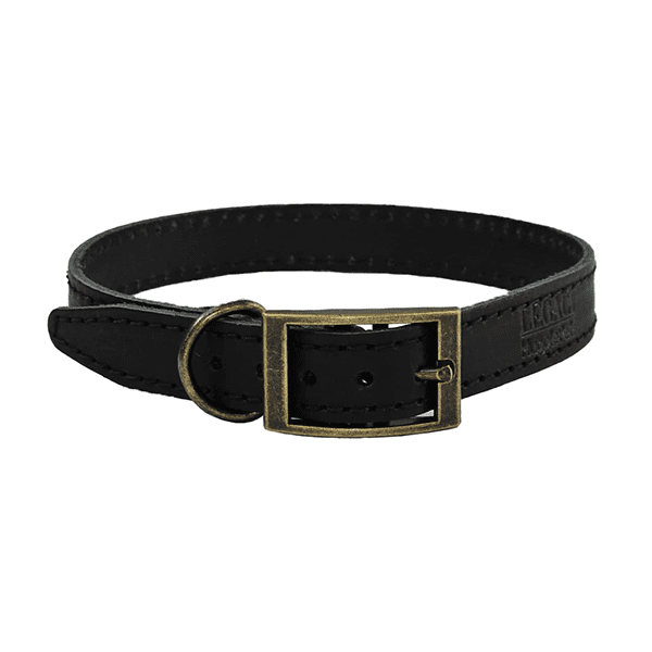 Legacy Leather Dog Collar Black X Small