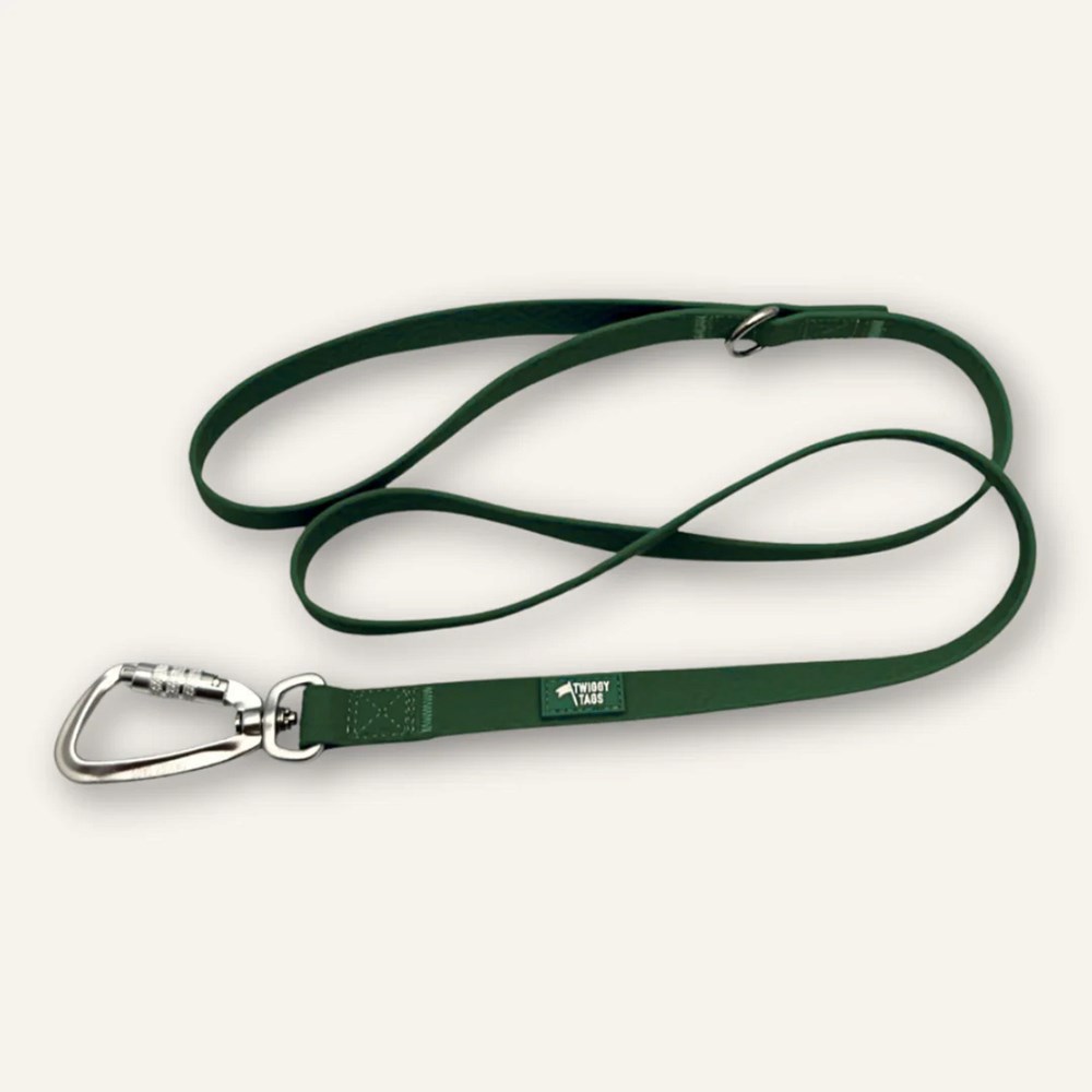 Twiggy Tags Tidal Waterproof Dog Lead Fern