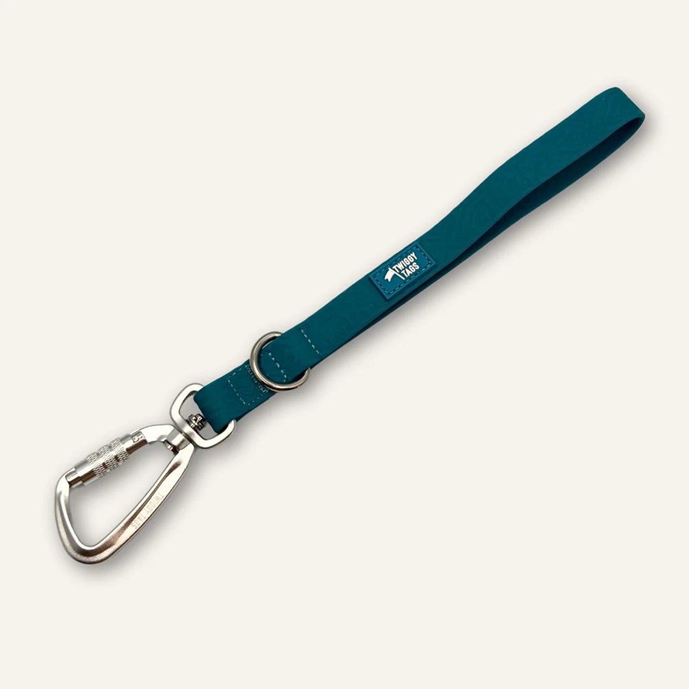 Twiggy Tags Tidal Waterproof Grab Handle Dog Lead Azure