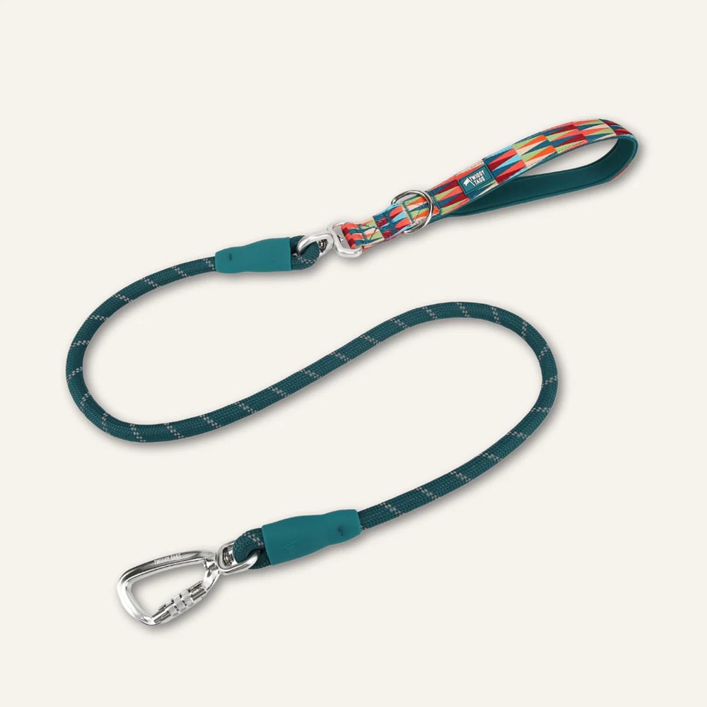 Twiggy Tags Horizon Dog Rope Lead Elixir